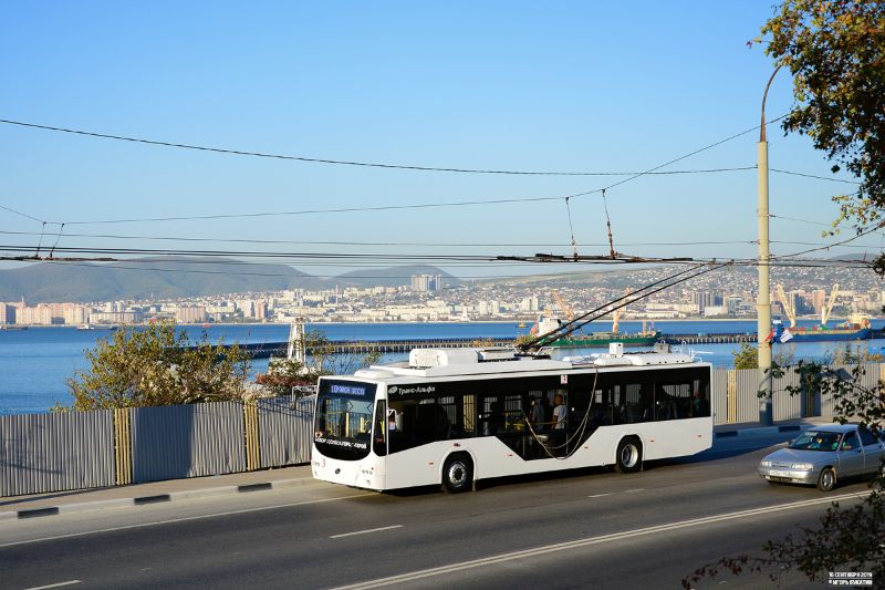 Beitrag trolleymotion